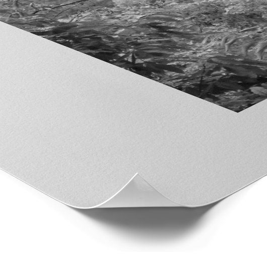 nieuwe rivierkloof poster (Hoek)