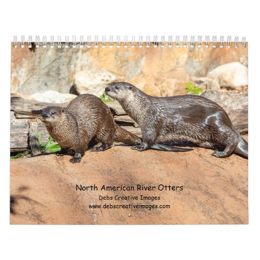 Nieuwe Rivierotters 2026 Kalender (Hoes)