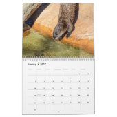 Nieuwe Rivierotters 2026 Kalender (Jan 2027)