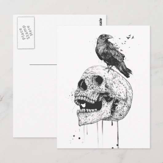 Nieuwe schedel (bw) briefkaart (Voorkant / Achterkant)