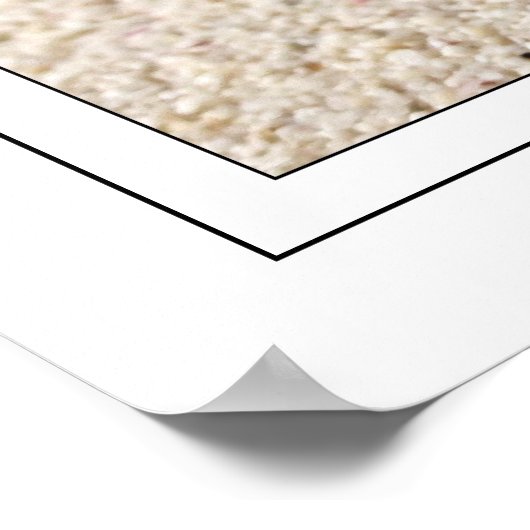 Nieuwe schildpad poster (Hoek)