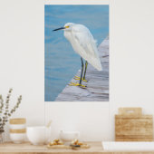 Nieuwe Smyrna Beach, Snowy Egret op dock Poster (Keuken)