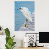Nieuwe Smyrna Beach, Snowy Egret op dock Poster (Thuiskantoor)