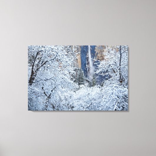 Nieuwe sneeuwval in de bomen onder de Bridalveil Canvas Afdruk (Voorkant)
