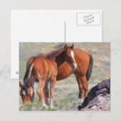 Nieuwe start briefkaart (Voorkant / Achterkant)