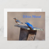 Nieuwe startaankondiging aankondigingskaart (Voorkant / Achterkant)