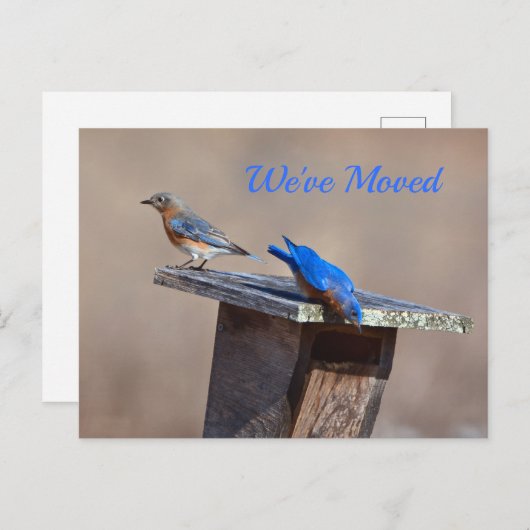 Nieuwe startaankondiging aankondigingskaart (Voorkant / Achterkant)