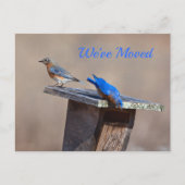 Nieuwe startaankondiging aankondigingskaart (Voorkant)