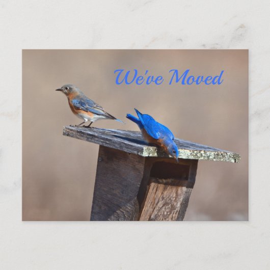 Nieuwe startaankondiging aankondigingskaart (Voorkant)