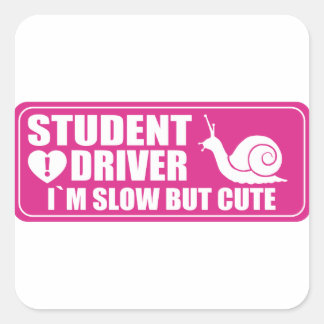 Nieuwe Student Driver Waarschuwingsbord Roze Vierkante Sticker