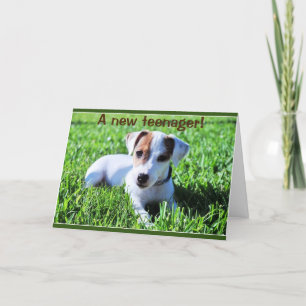 NIEUWE TEENAGERTURNEN ***13** KAART