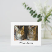 Nieuwe thuistablet katten die aankondiging verplaa (Staand voorkant)