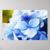 Nieuwe vervagen poster (Voorkant)