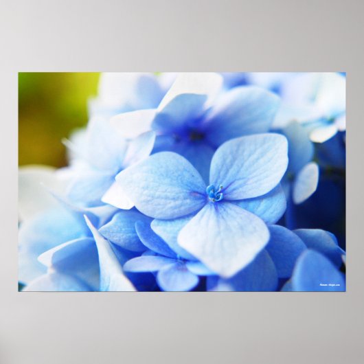 Nieuwe vervagen poster (Voorkant)