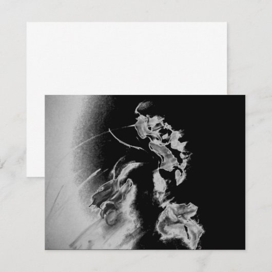 NIEUWE VINTAGE (Voorkant / Achterkant)