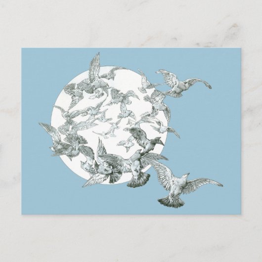 nieuwe vogelstand met volle maan briefkaart (Voorkant)