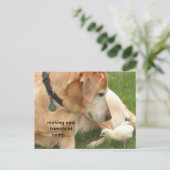 Nieuwe vrienden maken in kamp briefkaart (Staand voorkant)