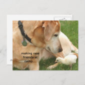 Nieuwe vrienden maken in kamp briefkaart (Voorkant / Achterkant)