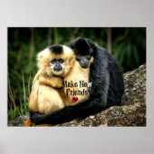 "Nieuwe Vrienden Maken" Poster (Voorkant)