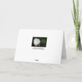 Nieuwe White Peony Floral Fotografie Bedankkaart (Achterkant)