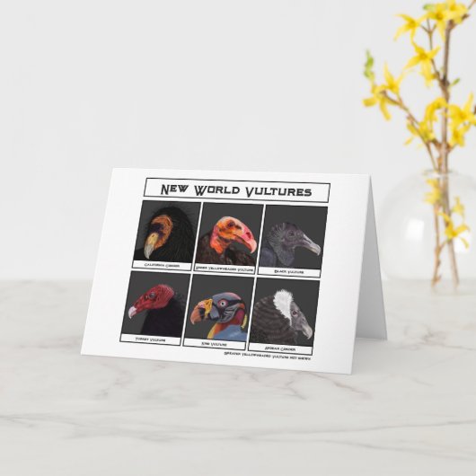 Nieuwe World Vultures Illustratie Kaart (Gele Bloem)