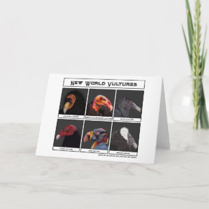 Nieuwe World Vultures Illustratie Kaart