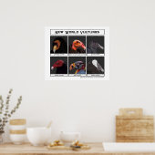 Nieuwe World Vultures Illustratie Poster (Keuken)