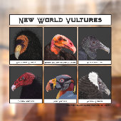 Nieuwe World Vultures Illustratie Raamsticker (Vel 2)