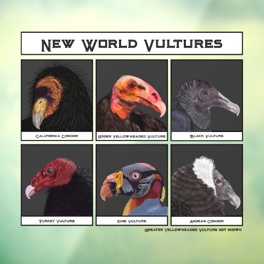 Nieuwe World Vultures Illustratie Raamsticker (Vel 3)