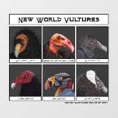 Nieuwe World Vultures Illustratie Raamsticker (Vel)