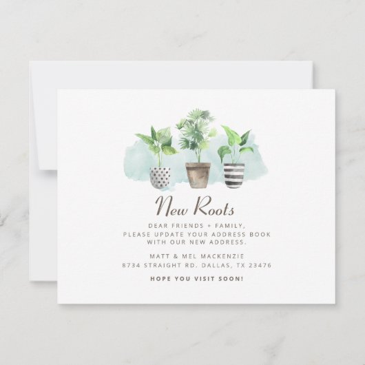 Nieuwe wortels die de Nieuwe Aankondiging van het  (Achterkant)