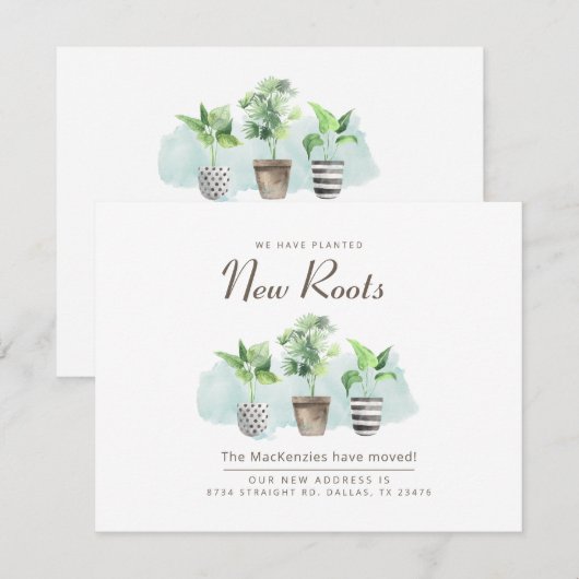 Nieuwe wortels die de Nieuwe Aankondiging van het  (Voorkant / Achterkant)