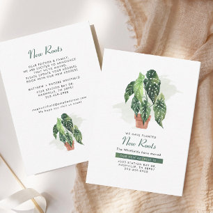 Nieuwe wortels die Verandering van de Aankondiging