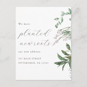 Nieuwe wortels geplant Wilde bloem Botanische Verh Briefkaart