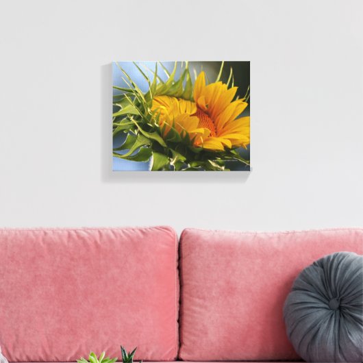 Nieuwe zonnebloem canvas afdruk (Insitu (Woonkamer))