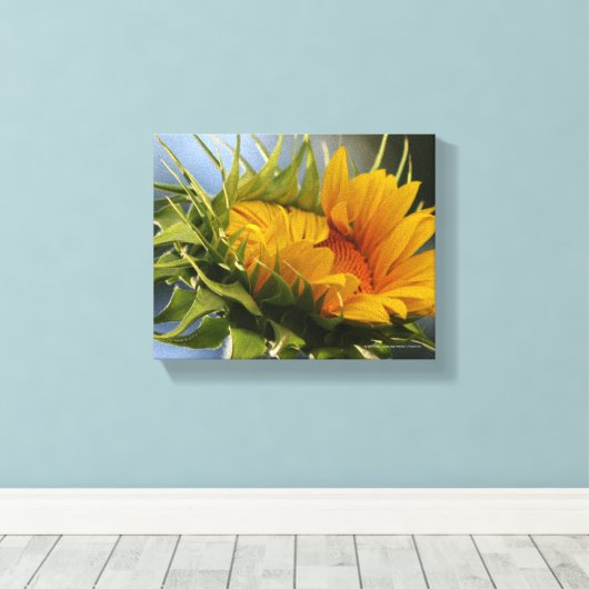 Nieuwe zonnebloem canvas afdruk (Insitu (Houten vloer))