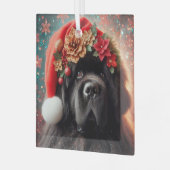 Nieuwf in Fancy Santa Hat Glas Ornament (Voorkant links)