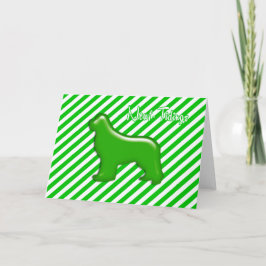 Nieuwfoundland Nieuwtjes Groene Gelei Kaart