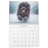 Nieuwigheden 2026 Kalender (Jan 2027)