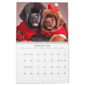 Nieuwigheden 2026 Kalender (Feb 2026)