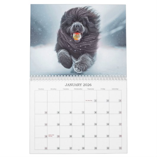 Nieuwigheden 2026 Kalender (Jan 2026)