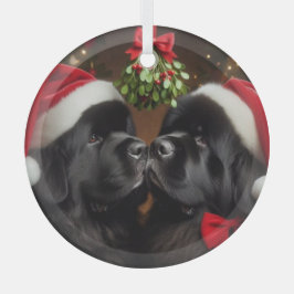 Nieuwigheden onder de Mistletoe Kiss Glas Ornament