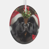 Nieuwigheden onder de Mistletoe Kiss Glas Ornament (Voorkant Rechts)