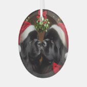 Nieuwigheden onder de Mistletoe Kiss Glas Ornament (Voorkant links)