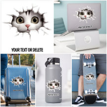 Nieuwigheid Doorbraak Gat Peeking Schattige Cat Ki