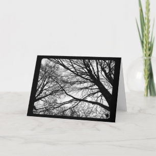 Nieuwjaar en oplossing: Snowfall op Maple Feestdagen Kaart