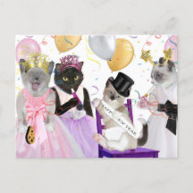 Nieuwjaar Kitten Briefkaart