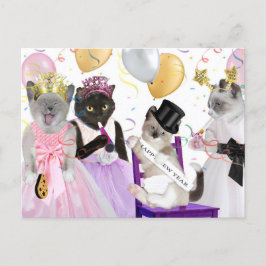 Nieuwjaar Kitten Briefkaart
