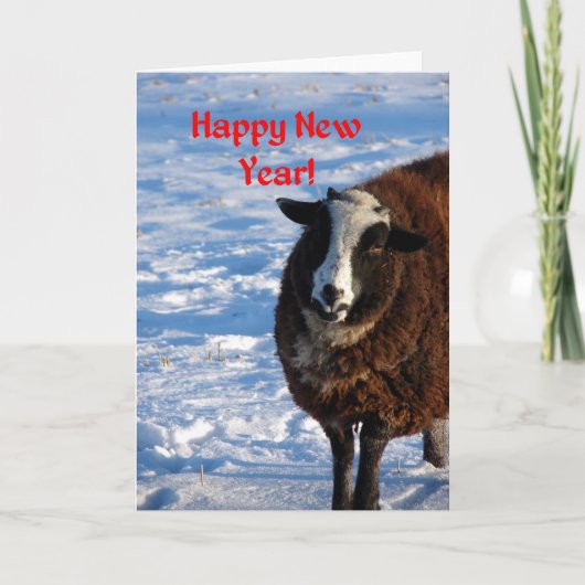 Nieuwjaars Schapen Feestdagen Kaart (Voorkant)