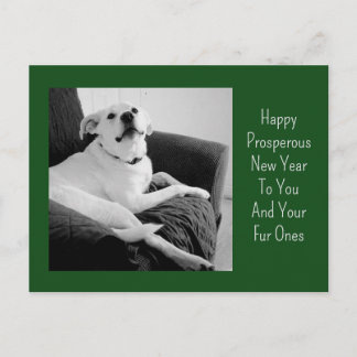 Nieuwjaars zwart-wit foto van knappe hond groen feestdagenkaart